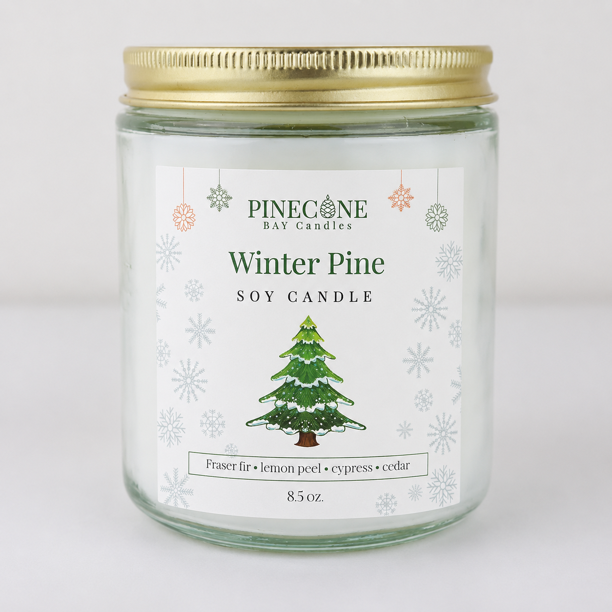 Winter Pine (Frasier Fir)